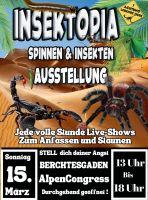 Bild öffnen Bild öffnen