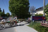 Bild &ouml;ffnen
