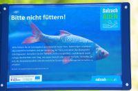 Bild &ouml;ffnen