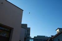 Bild &ouml;ffnen