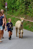 Bild &ouml;ffnen