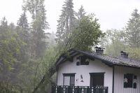 Bild öffnen