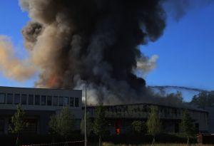 Video-Vorschau zeigen