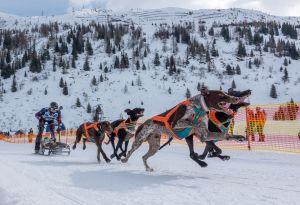 Bericht öffnen Bericht öffnen