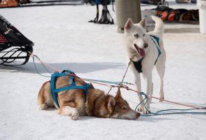 Bericht öffnen Bericht öffnen