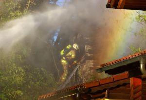 Video-Vorschau zeigen