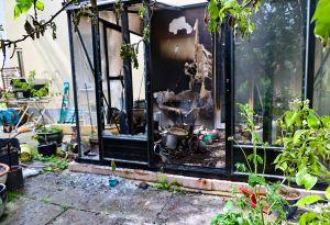 Video-Vorschau zeigen