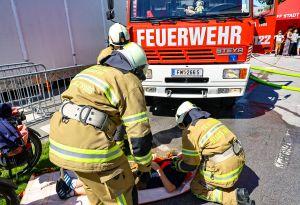 Video-Vorschau zeigen