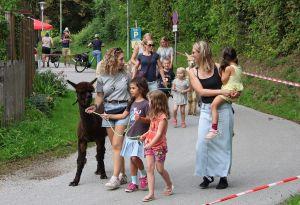 Bericht &ouml;ffnen