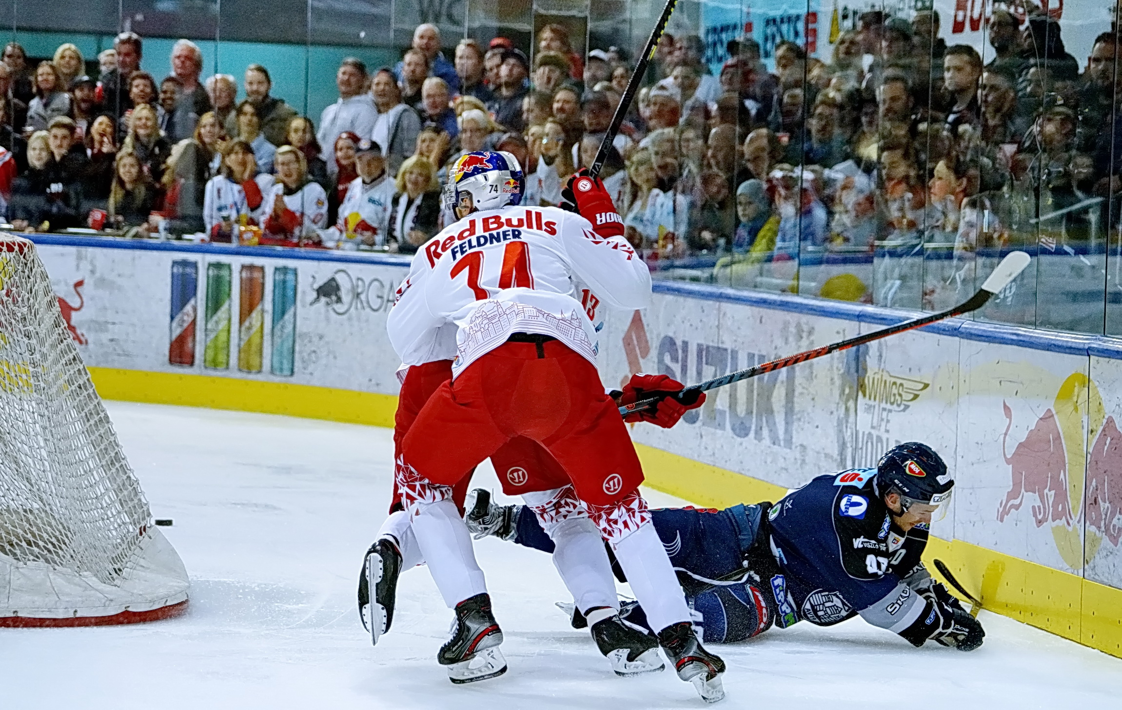 FMT-Pictures - EBEL: EC Red Bull Salzburg vs. AVS Fehervar ...